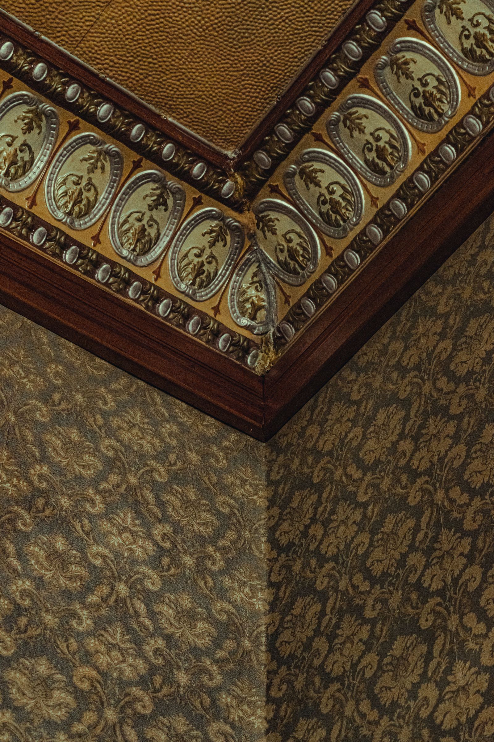 Ceilings & specialty surfaces